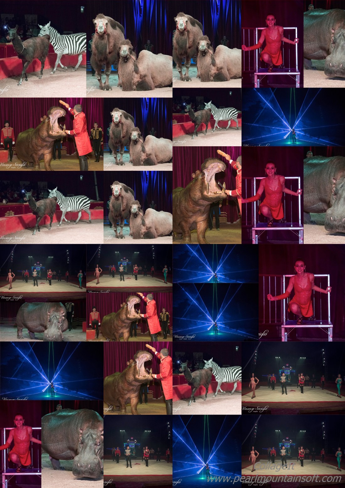 collage